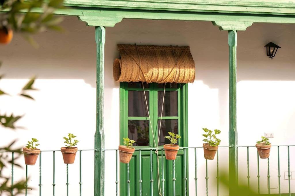 Appartement A Estrenar En Calle Alcazares